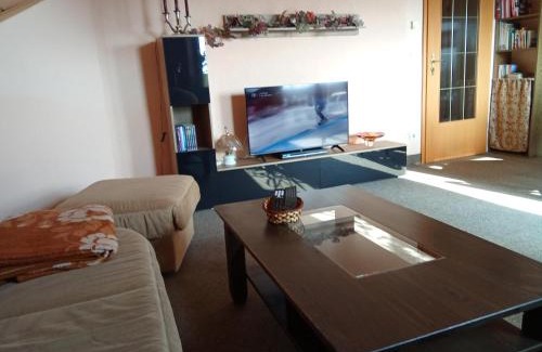 Lossatal Apartment | Haus Carmen