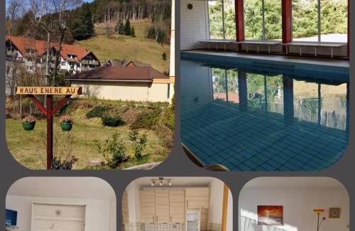 Todtmoos Apartment | Haus Enere Au FeWo Antonia und FeWo Milan