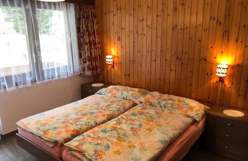 Saas Grund Apartment | Haus Erle