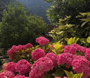 Giazza House | Haus Granata Family - Trekking - Bike