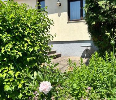 Hinterhainbach House | Haus Ingrid