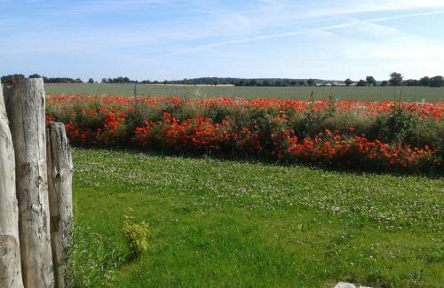 Dranske Apartment | Haus Kranichfeld Wohnung T