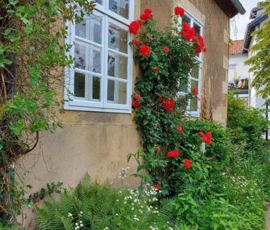 Bad Iburg Apartment | Haus Kroneck-Salis Ferienwohnung