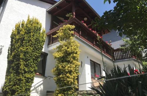 Lutter Apartment | Haus Martina Panoramablick
