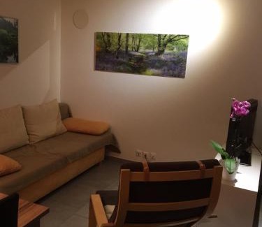 Wiler Apartment | Haus Melodie