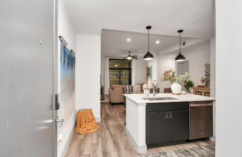 Braeswood Place Apartment | Haus of Blues-NRG Stadium-TX Med Center-Private Parking