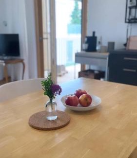 Hoerbranz Apartment | Haus Olga