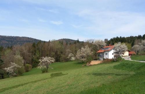 Lalling Apartment | Haus Panorama