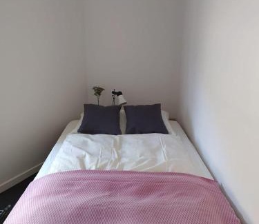 Muenster Apartment | Haus Rovina