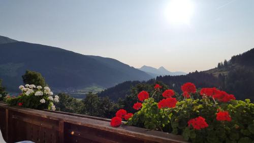 Lesachtal Apartment | Haus STRIEDER - Obergail