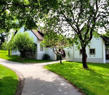 Litschau Apartment | Haus Waldviertel am Herrensee