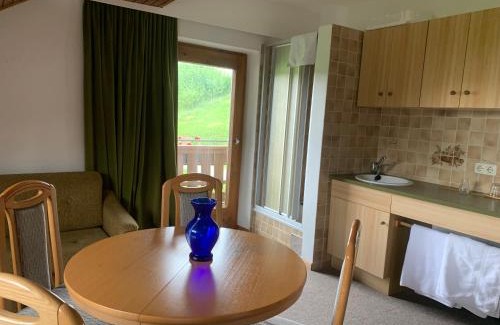 Seekirchen am Wallersee Apartment | Haus Wilhelm