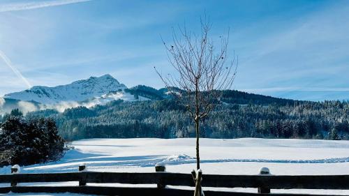 Sankt Johann in Tirol Apartment | Haus Wurzenrainer