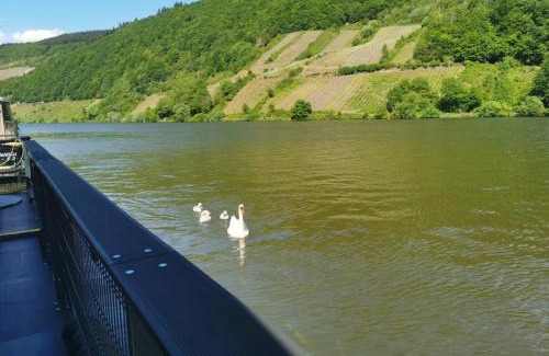 Polich Boat Rental | Hausboot Mosel