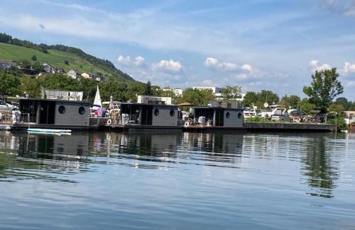 Polich Boat Rental | Hausboot Moselrose in Pölich