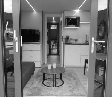 Polich Boat Rental | Hausboot Moselrose in Pölich