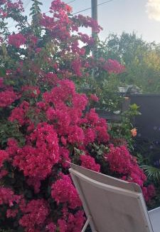 Anse-Bertrand Apartment | Haut de villa agréable et paisible climatise, wifi