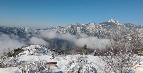 Kanatal Resort | Haut Monde King's Paradise Resort