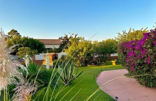 La Marana Apartment | HAUT VILLA MESANGES EN BORD DE MER !