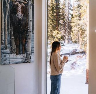 Alma Ski Chalet | Haute Haus Aframe in Alma Colorado