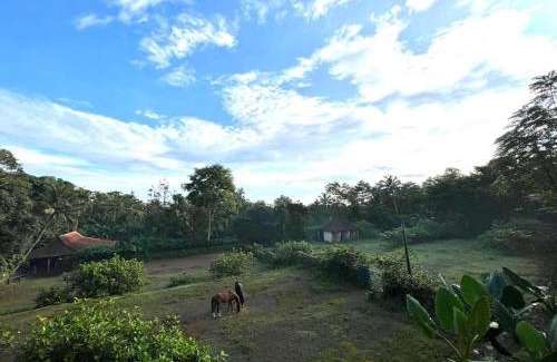 Banaran Villa | Havana Horses Lodge
