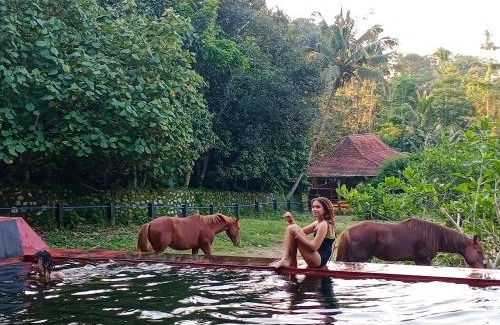 Banaran Villa | Havana Horses Lodge