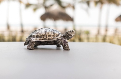 Punta Chame Apartment | Haven at Sanctuary-2bdr Sea View: paddle+BBQ