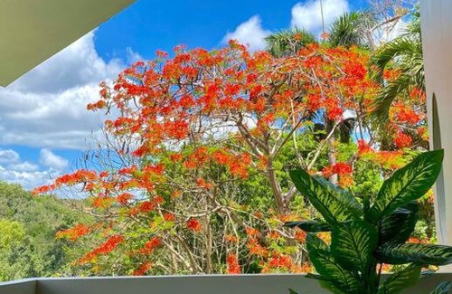Caguas Villa | Haven Hill Place (New!)