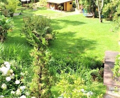 Lumiar House | Havilá Arara Azul