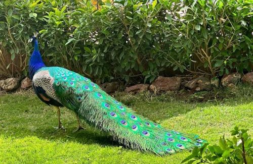 Saly Niakhniakhal Villa | Havre de paix à Saly moins de 5 mn de la mer