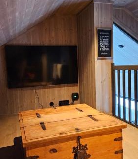 Hol Municipality Ski Chalet | havsdalen 57