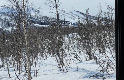 Hol Municipality Ski Chalet | havsdalen 57