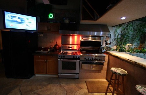 Media House | HAWAII Indoors! Swim-up Tiki-Bar 20' Palms,5 waterfalls,2 Theaters,Pool, Spa,Gym