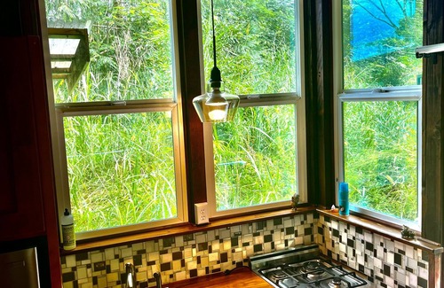Pahoa Bed & Breakfast | Hawaiian Sanctuary