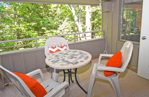 Maple City Apartment | Hawks Nest 27