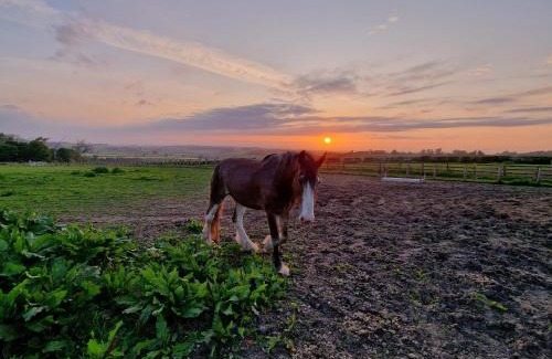 Ford House | Hay Farm House
