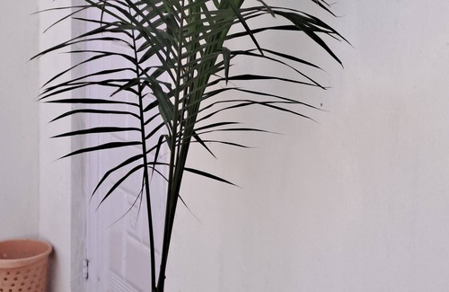 Kano Apartment | HAYA Haus your home away from home