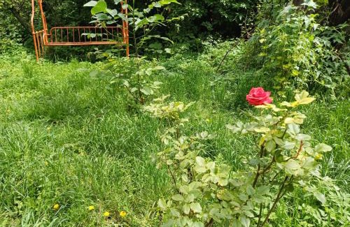 Sanahin Bed & Breakfast | Hayk B&B (in Sanahin)