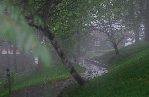 Chinnakanal Resort | Haze and Kites Resort Munnar