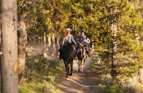 Flagg Ranch Cabin | Headwaters Lodge & Cabins at Flagg Ranch