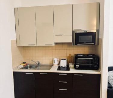 Nove Mesto Apartment | Heart of Prague apartment