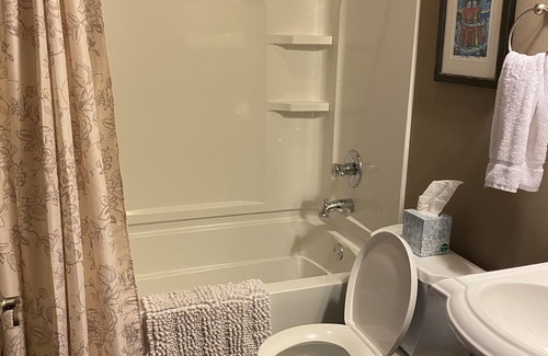 Lower Garden District House | Heart of the Irish Channel