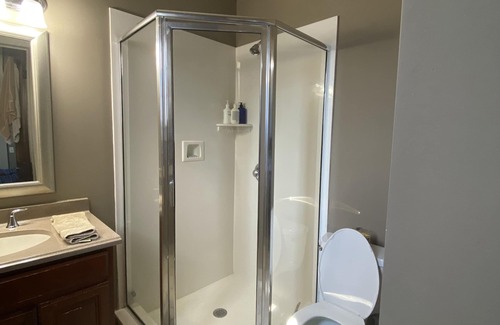 Lower Garden District House | Heart of the Irish Channel