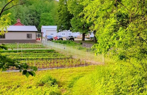 Camp Grove RV Rental | Heated Tent, Queen Bed in Forest on Farm w Animals