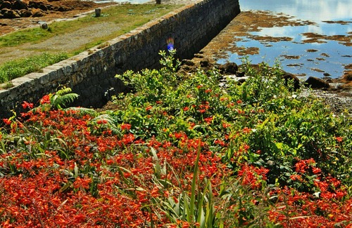 Cashel House | Heather House - Three Bedroom House, Sleeps 6