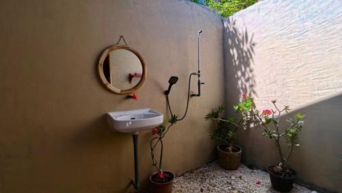 Rote Island Bed & Breakfast | Hecter Surf House