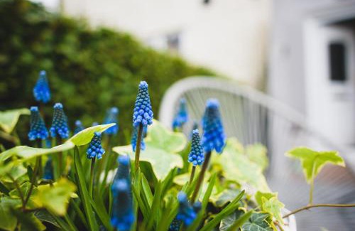 Great Yarmouth House | Hectors house