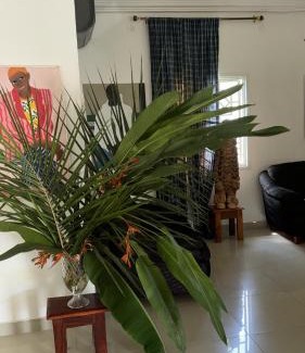 Sanyang Bed & Breakfast | Heda House
