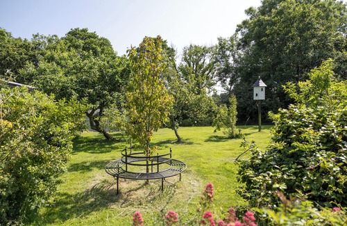 Tan-y-groes Cottage | Hedgerow at Gorslwyd - Sound Retreat