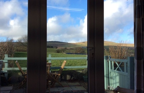 Maenclochog Cabin | Hedgerow Hut - the perfect Tiny House